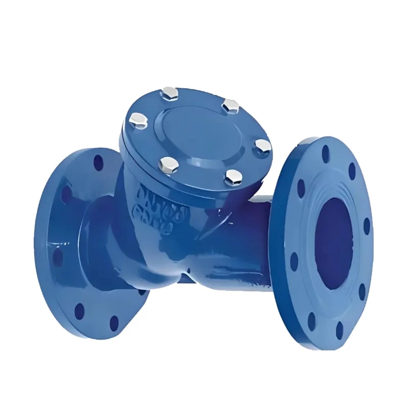 Y-strainer
